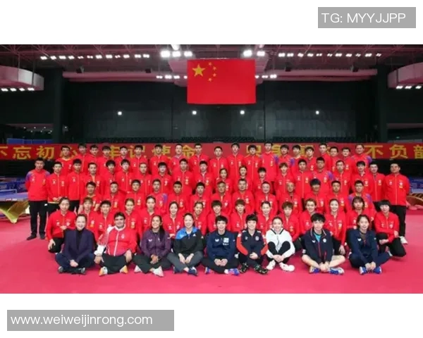 南京乒乓球队的速度之谜：揭秘训练背后的故事与技巧