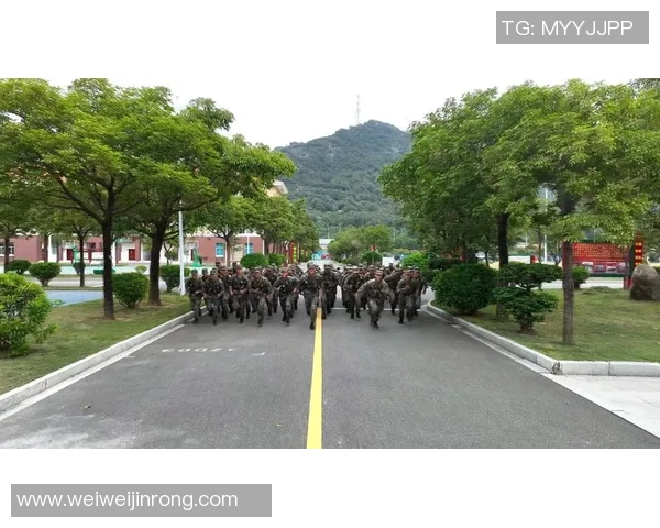 广州排球队转型纪实：从传统到现代的奋斗与蜕变之路