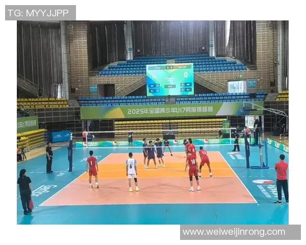 排球魅力无穷：深入了解上海排球队的灵活战术与团队精神