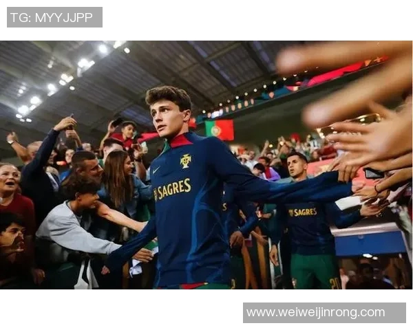 若昂内维斯的足球之路从青涩少年到国际舞台的璀璨明星