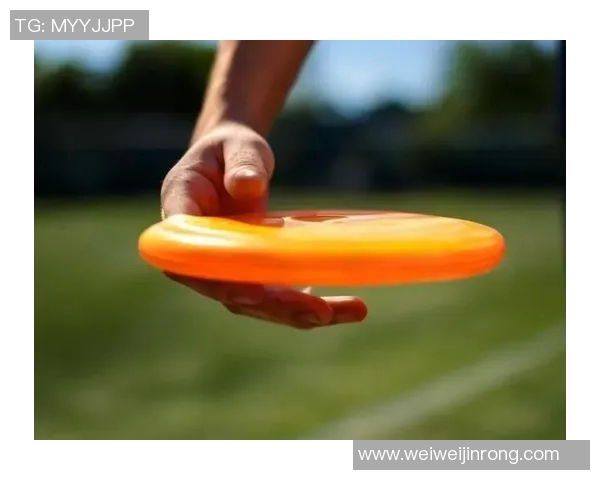 飞盘战术解析:上海飞盘队边路渗透体系的创新与实践探讨 飞盘战术解析:上海飞盘队边路渗透体系的创新与实践探讨