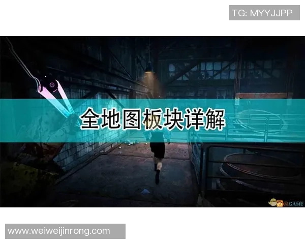303神秘人揭开自由的面纱探索未知与自我解放的旅程 303神秘人揭开自由的面纱探索未知与自我解放的旅程
