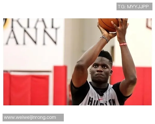 克林特卡佩拉：从角色球员到NBA明星的成长之路与挑战